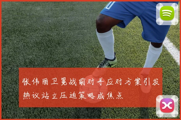 张伟丽卫冕战前对手应对方案引发热议站立压迫策略成焦点